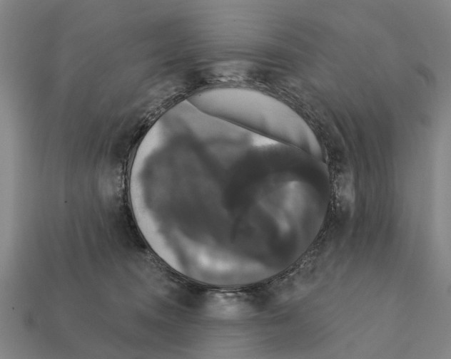 X0000111910372200909071201