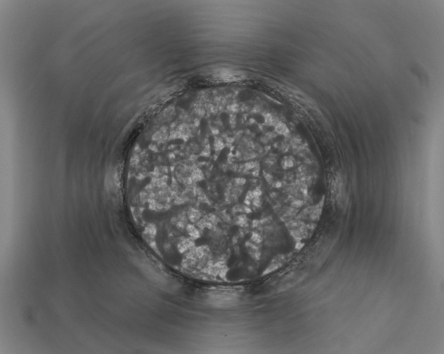 X0000111910373200909071202