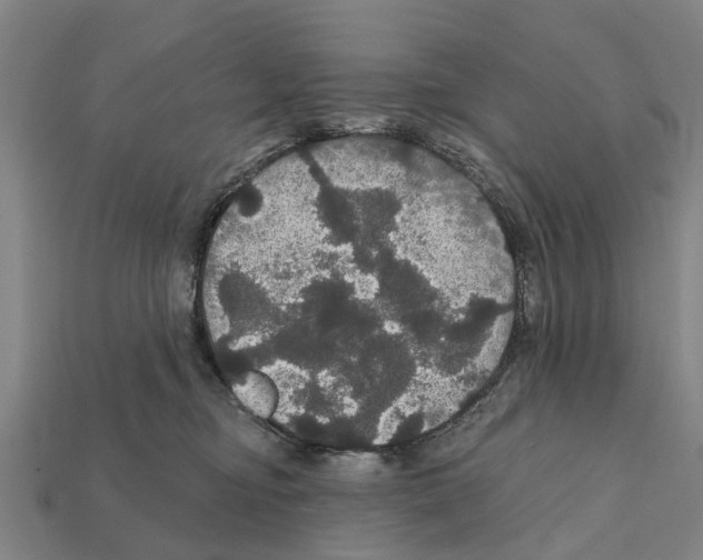 X0000111910374200909071202