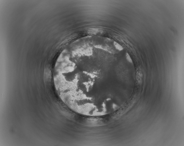 X0000111910375200909071202