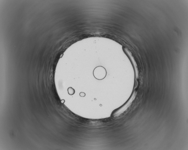 X0000111910376200909071202