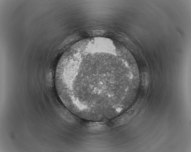 X0000111910378200909071202