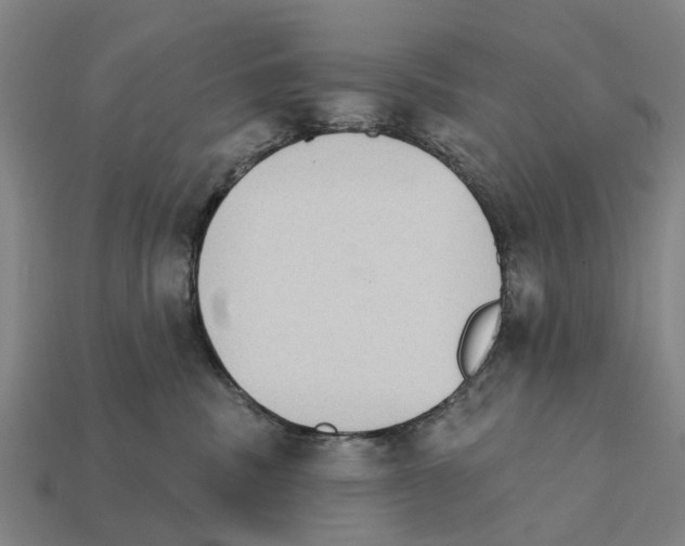 X0000111910379200909071202