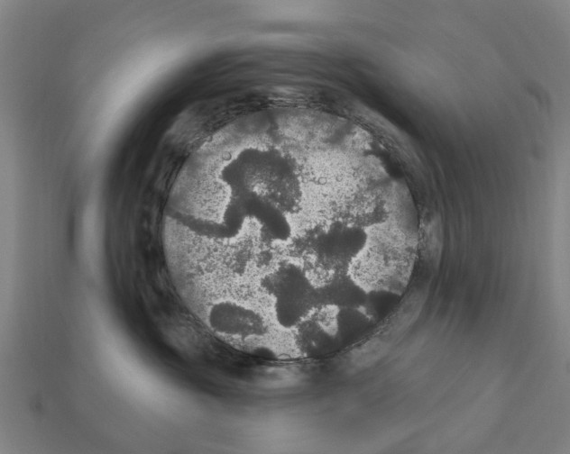 X0000111910381200909071202