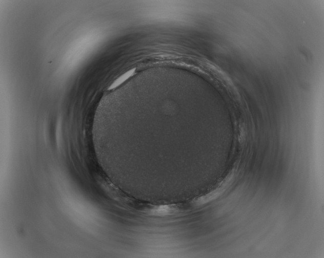 X0000111910382200909071202