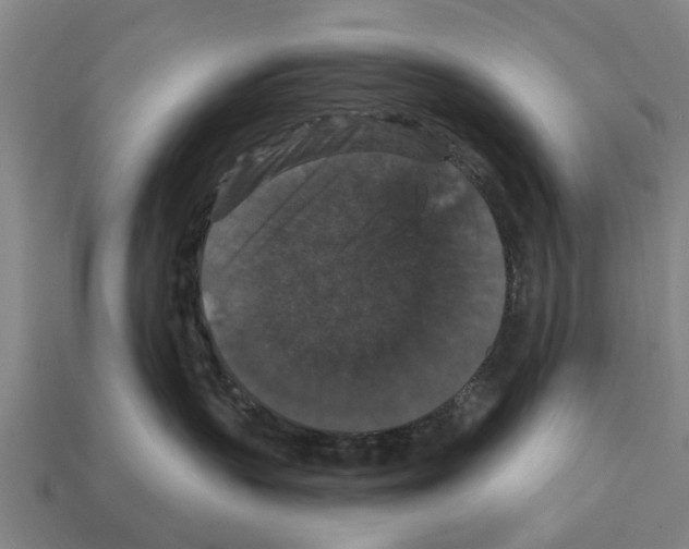 X0000111910383200909071202