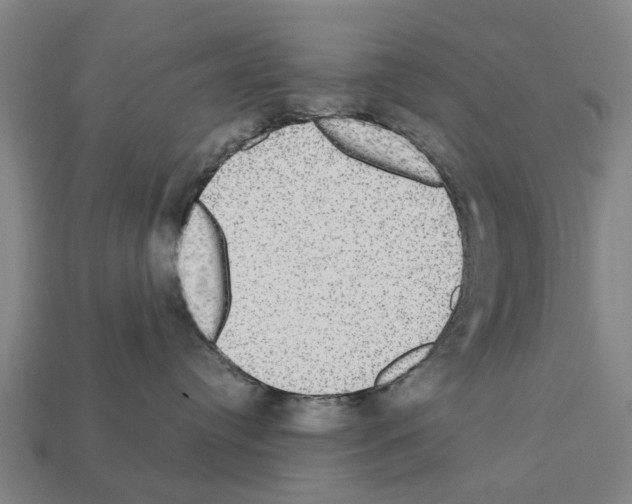 X0000111910384200909071202