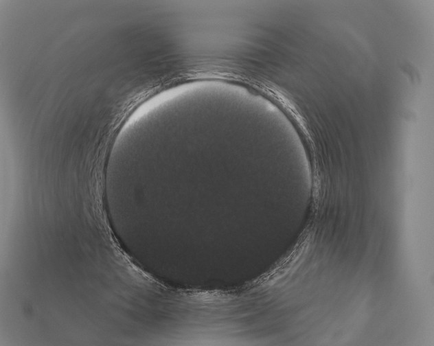 X0000111910385200909071201