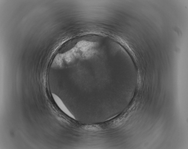 X0000111910386200909071201
