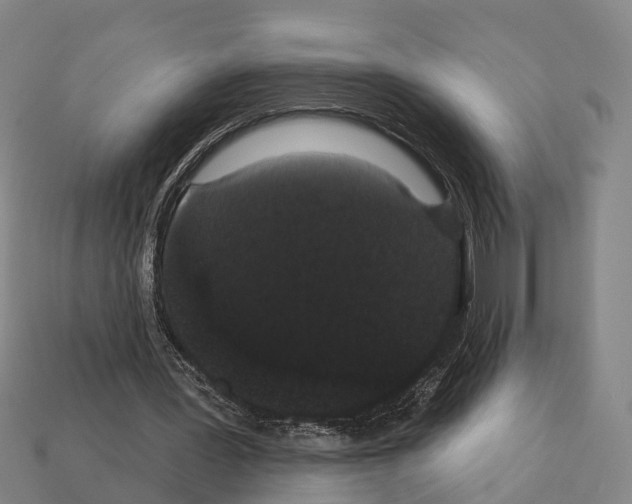 X0000111910387200909071201