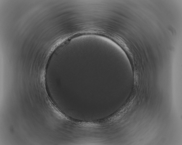 X0000111910389200909071201
