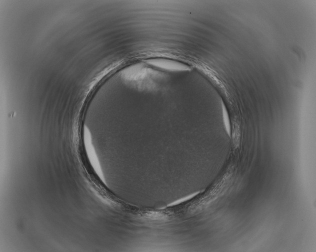 X0000111910390200909071201