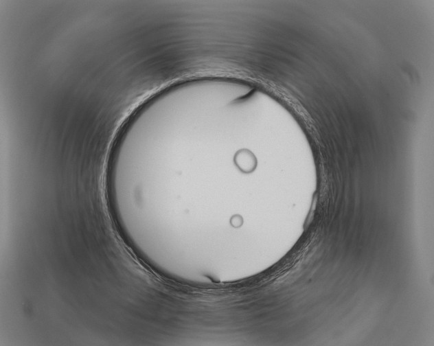 X0000111910391200909071201