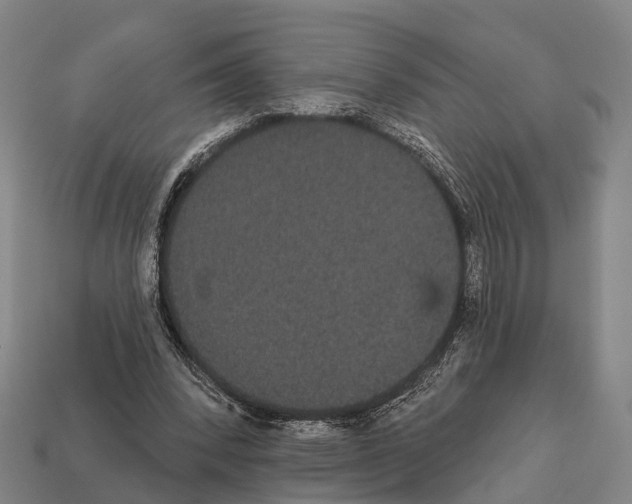 X0000111910392200909071201