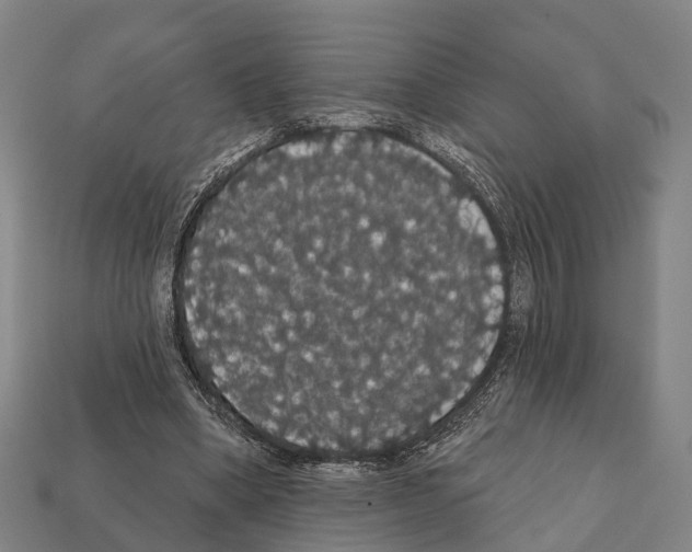 X0000111910394200909071201