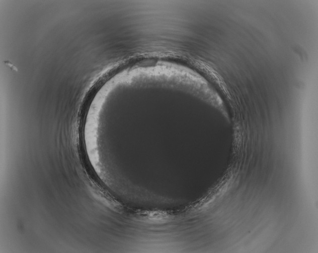 X0000111910395200909071201