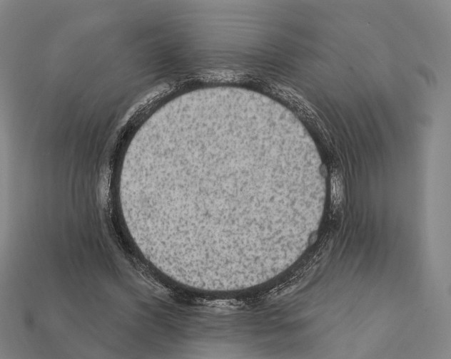 X0000111910396200909071201