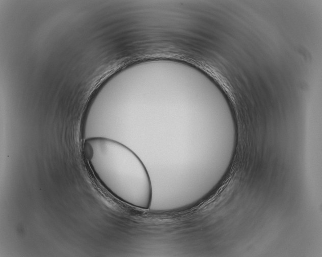 X0000111910397200909071201
