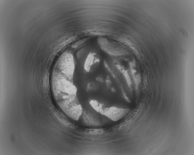 X0000111910398200909071201