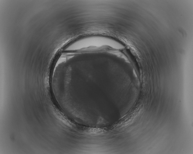 X0000111910399200909071201