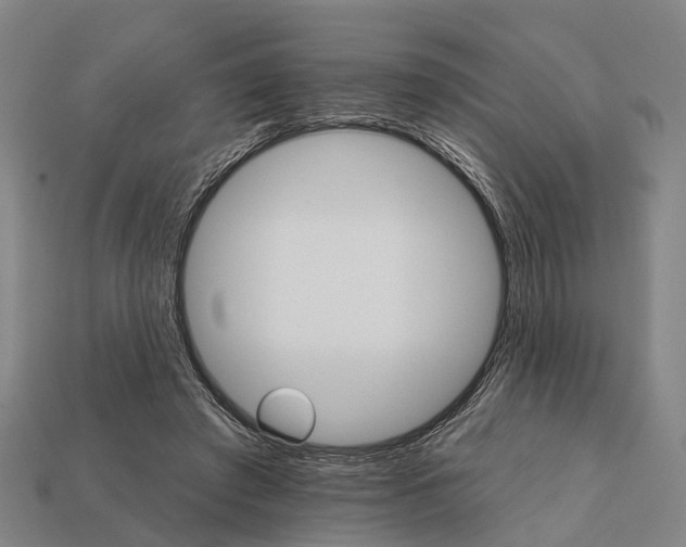 X0000111910401200909071201