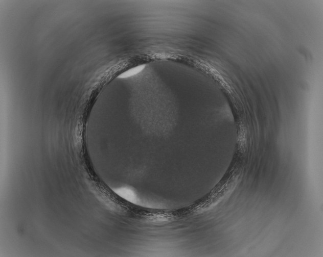 X0000111910402200909071201