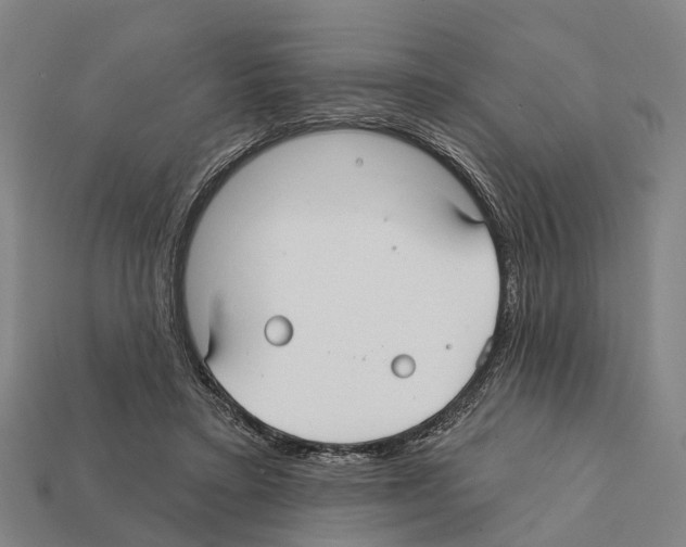 X0000111910403200909071201