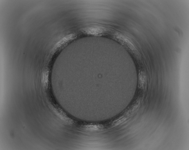 X0000111910404200909071201