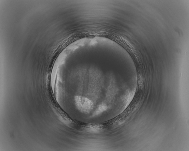 X0000111910405200909071201