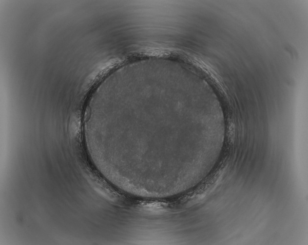 X0000111910407200909071201