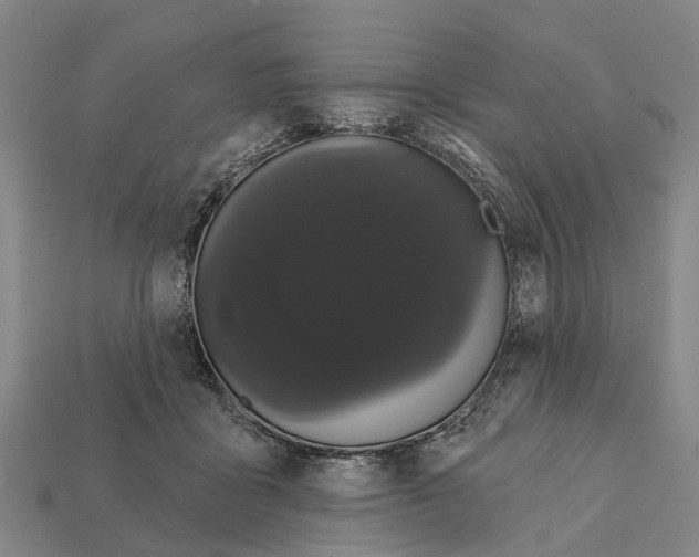 X0000111910411200909071201