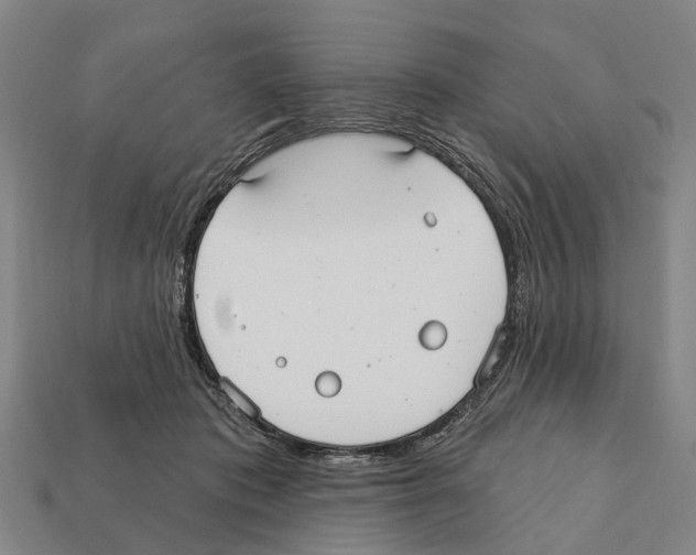 X0000111910413200909071201