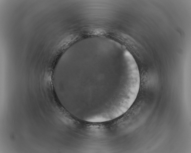 X0000111910415200909071201
