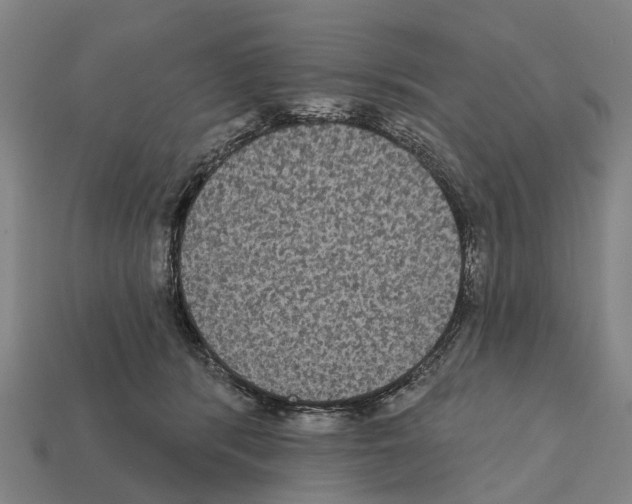 X0000111910416200909071201