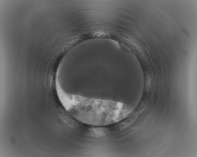 X0000111910417200909071201