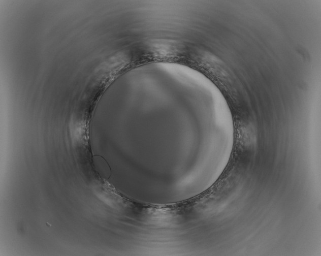 X0000111910419200909071201
