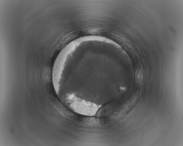 X0000111910421200909071201