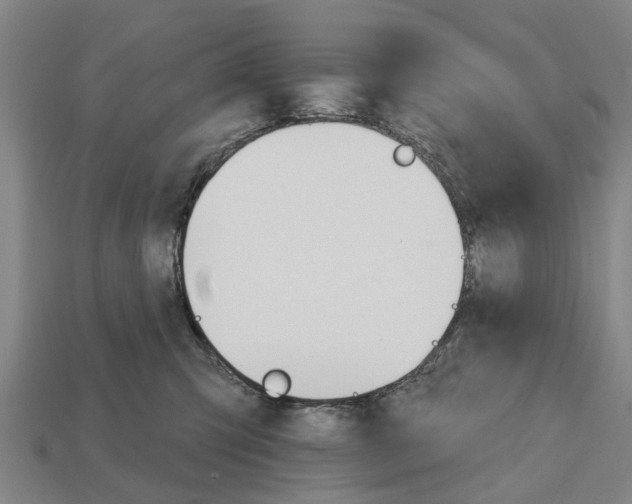 X0000111910423200909071200