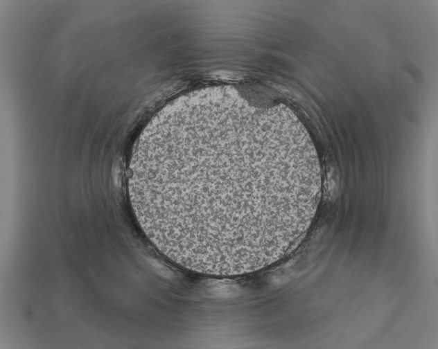 X0000111910424200909071200