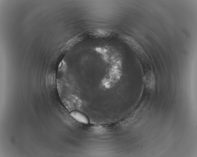 X0000111910425200909071200