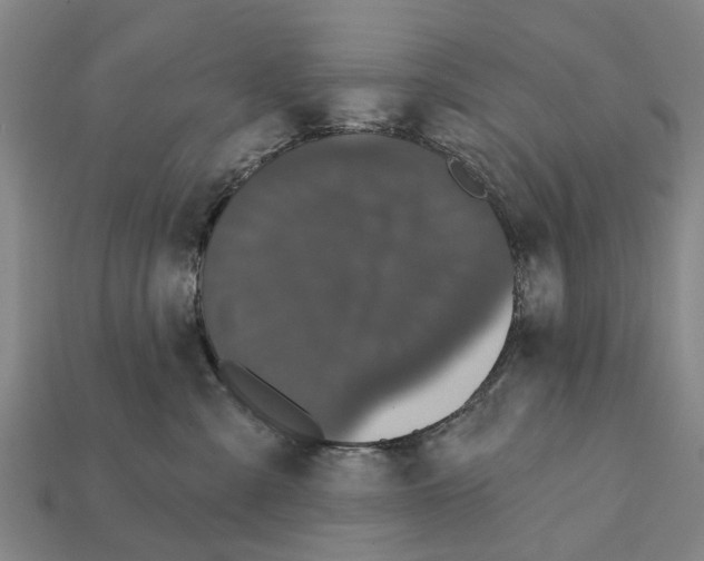 X0000111910427200909071200
