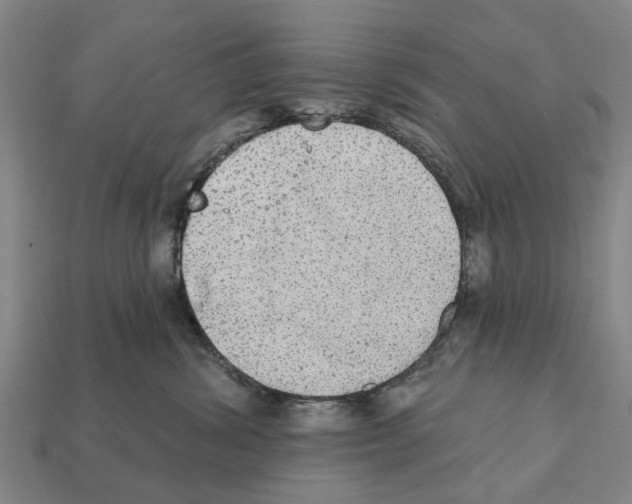 X0000111910428200909071200