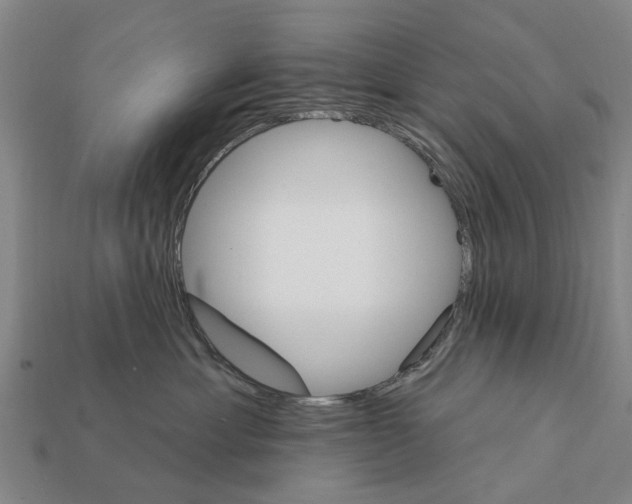 X0000111910429200909071200