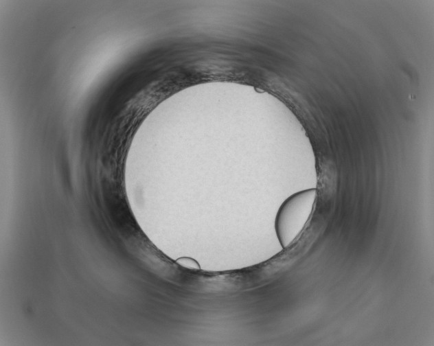 X0000111910430200909071200
