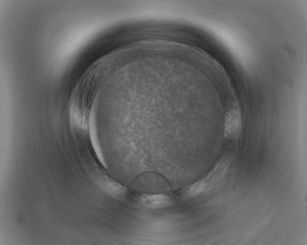 X0000111910431200909071200