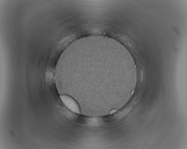 X0000111910432200909071200