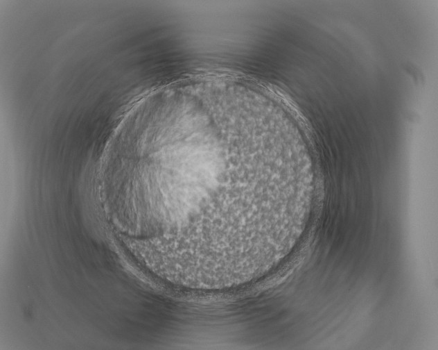 X0000111910433200909071200