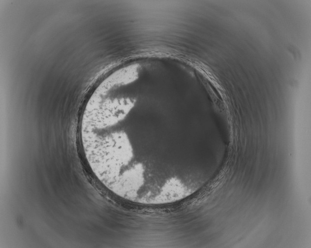 X0000111910434200909071200