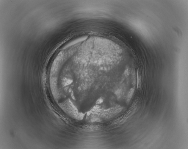X0000111910435200909071200