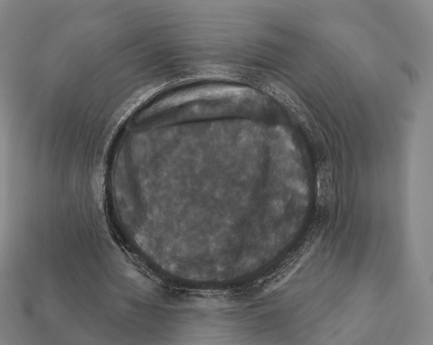 X0000111910436200909071200